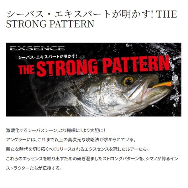 EXSENCE　サイレントアサシン　129S　AR－C